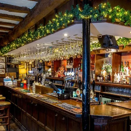 אורחן The Woolly Sheep