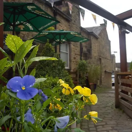 אורחן The Woolly Sheep 4*