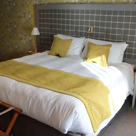 The Woolly Sheep סקיפטון