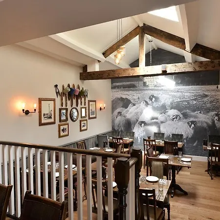 The Woolly Sheep 4*