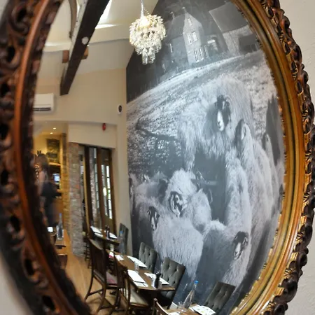 The Woolly Sheep Мини-отель