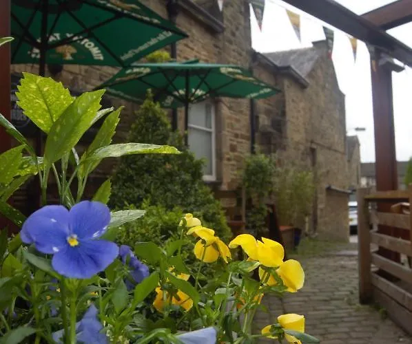 Inn The Woolly Sheep 4*