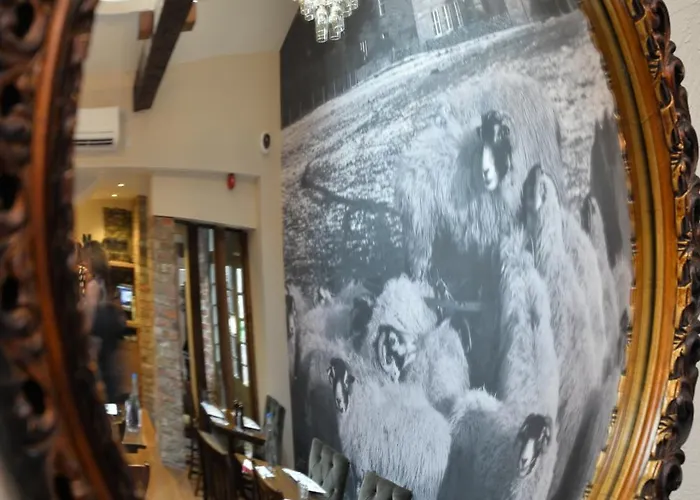 The Woolly Sheep Inn