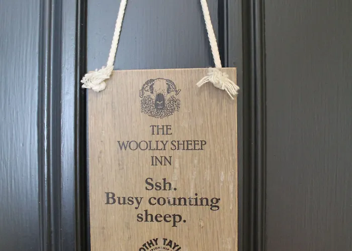 The Woolly Sheep
